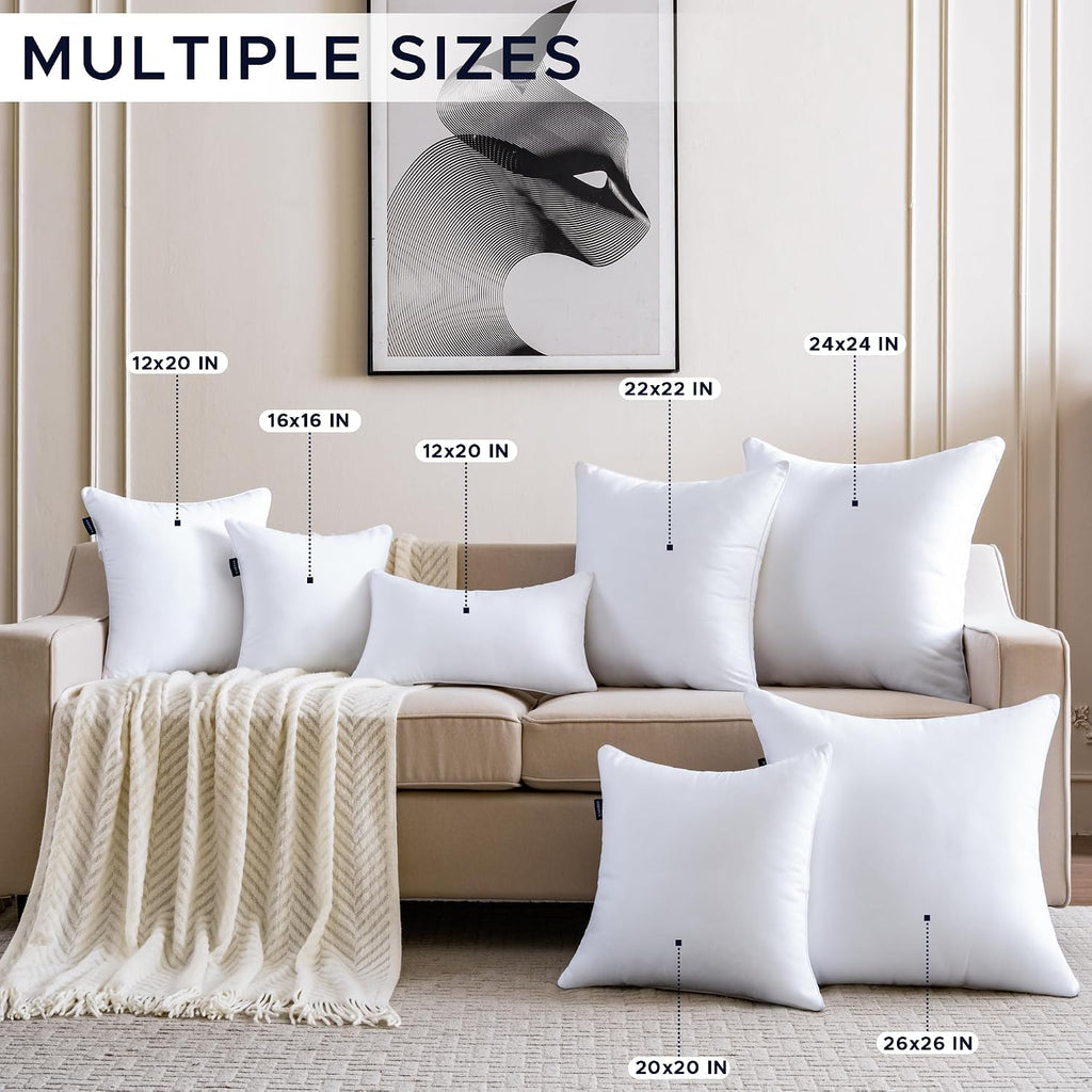 22 x 22 Pillow Inserts Down Alternative Throw Pillow Inserts Large Fluffy Decorative Pillow White Square - Set of 2