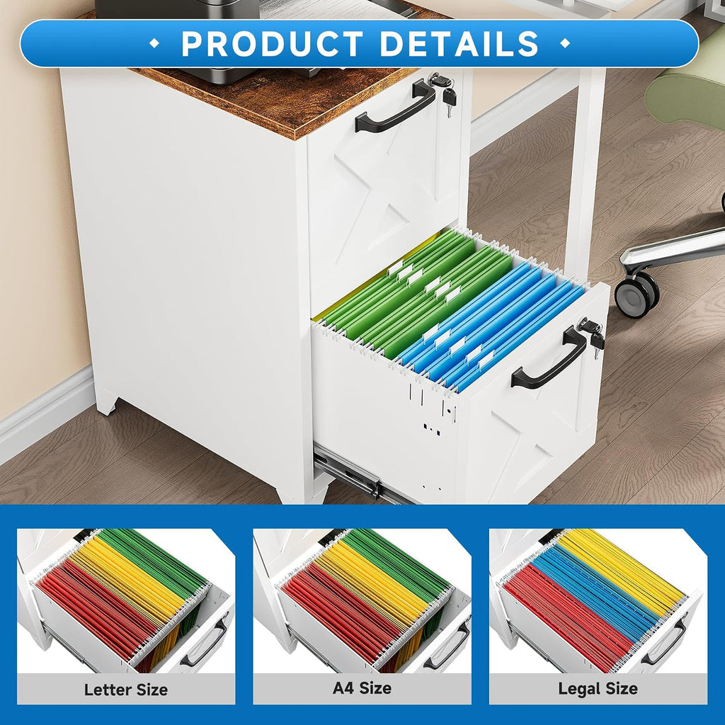 File Cabinet with Lock Vertical Filing Storage Cabinet Office Home Steel for Letter Size File Cabinet Locked,Assembly