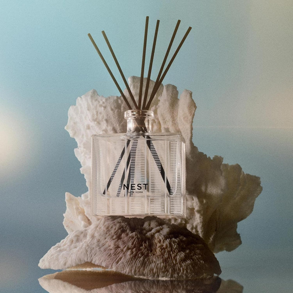 Reed Diffuser, Ocean Mist & Sea Salt - 5.9 fl oz - Fragrance for Up to 90 Days - Reusable, Refillable Glass Holder - Set of 59