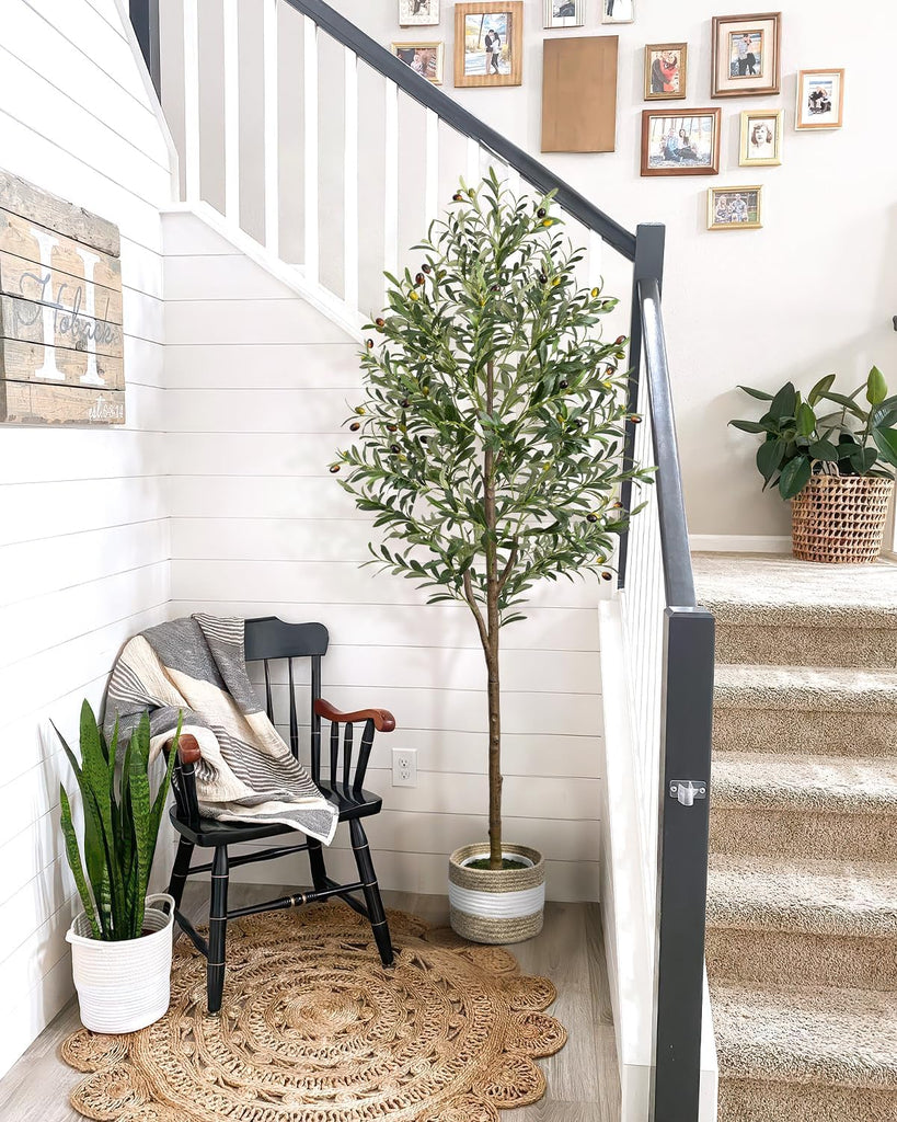 6FT Artificial Olive Tree - Indoor Tall Faux Olive Trees with Planter&Basket, Large Fake Olive Silk Tree Realistic