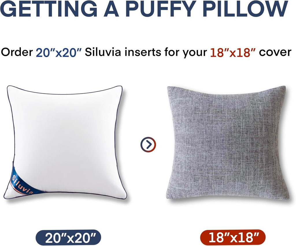 20x20 Down Alternative Pillow Insert 2 Pack, 100% Cotton Cover - Set of 2