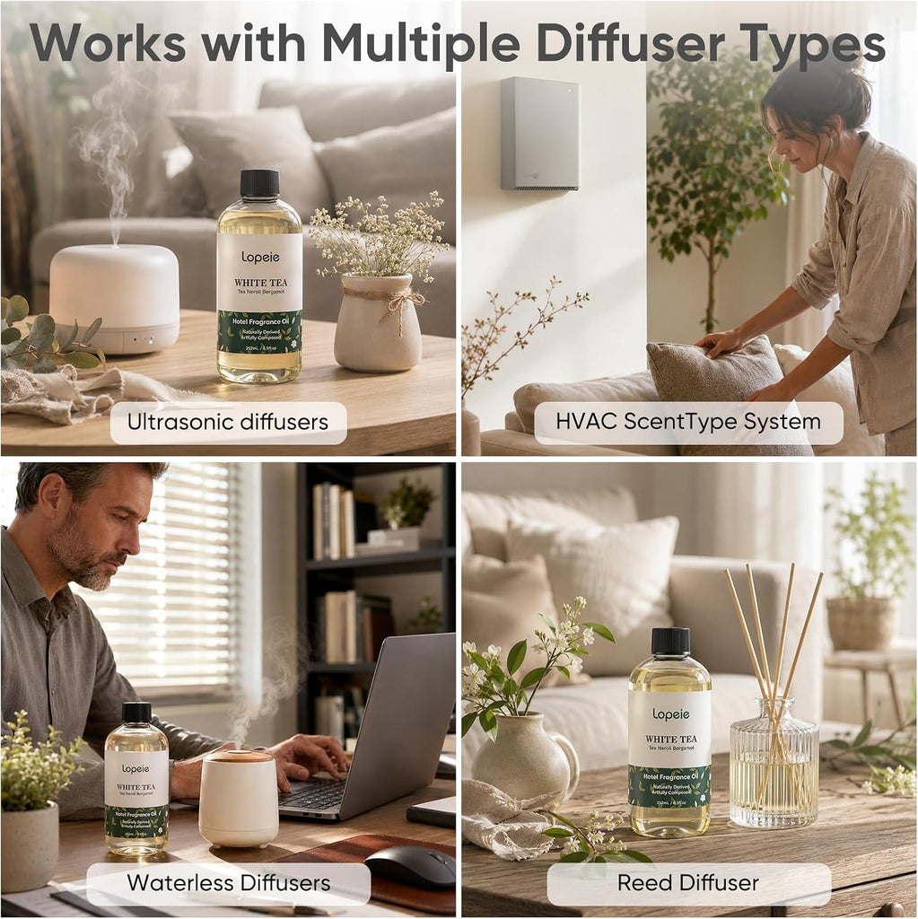 White Tea Diffuser Oil - Essential Oil for Diffuser, Air Freshener & Room Spray - Long-Lasting with Notes of Tea - Set of 85