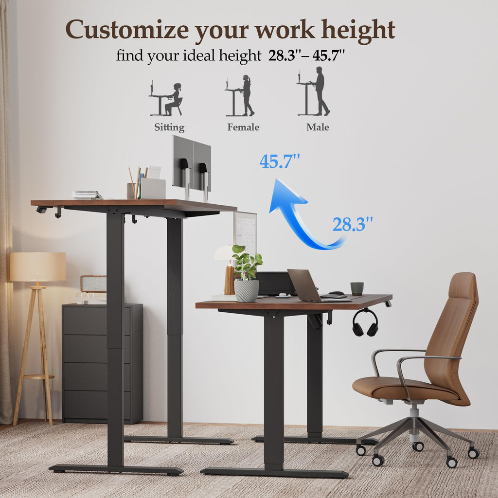 71 x 32 Electric Standing Desk, Height Adjustable, Dark Walnut