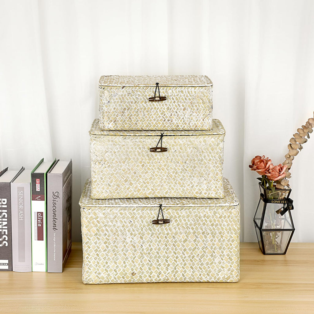 Wicker Shelf Baskets Bin with Lid, Large Seagrass Basket Storage Box