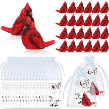 72 Pcs Chrismas Cardinal Memorial Gift Set