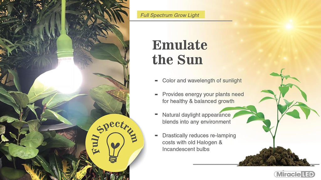 S Full Spectrum Absolute Daylight Grow Light Bulbs (4-Pack)