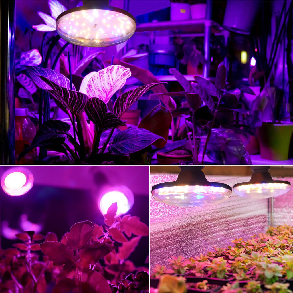 LED Grow Lights for Indoor Plants, Full Spectrum Plant Growing Lamp, E26/E27 10W Grow Light, Red Blue Grow Light