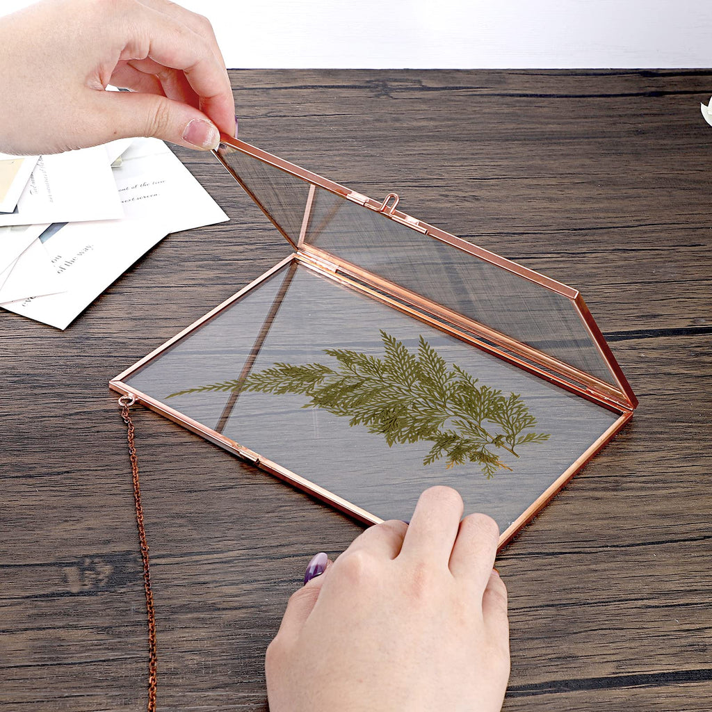 Set of 2 Rose Golden Brass Picture Frames, Floater Frame, Wall Hanging, 4x6 inches, Modern Art Design, Double Glass