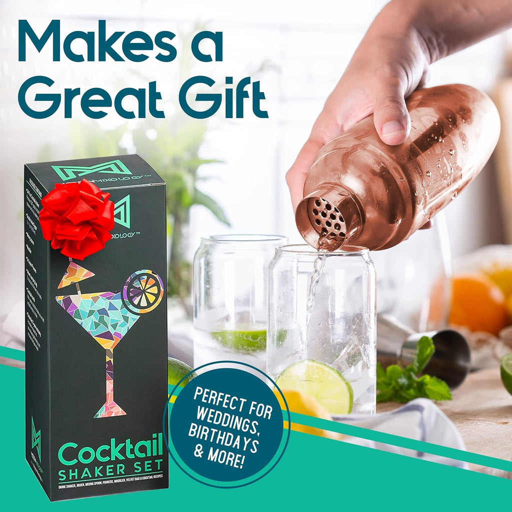 8-Piece Cocktail Shaker Set with Velvet Bag | Complete Kit for Bartenders | Includes Shaker with Strainer, Jigger - Set of 8