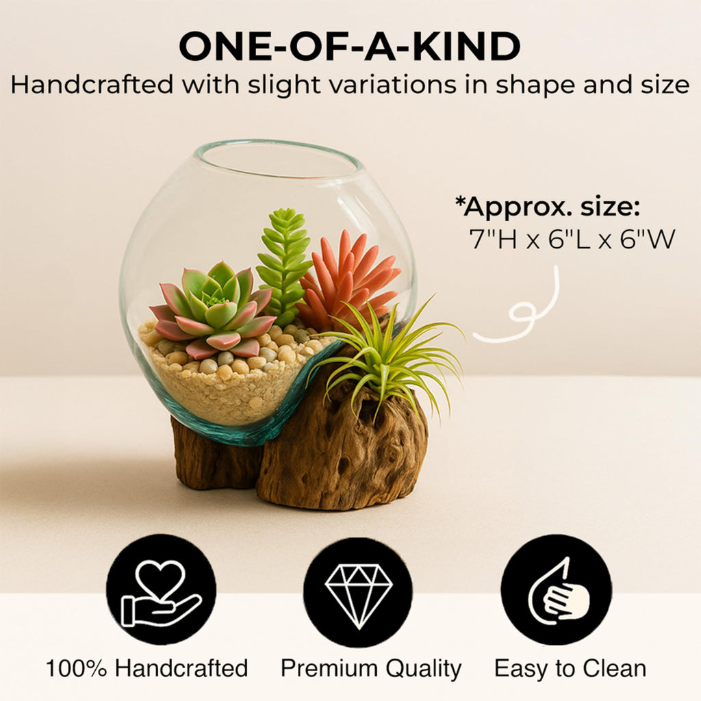 7" Hand-Blown Blue Tinted Bubble Glass On Natural Teak Driftwood Terrarium Kit | Home Décor Indoor Planter with