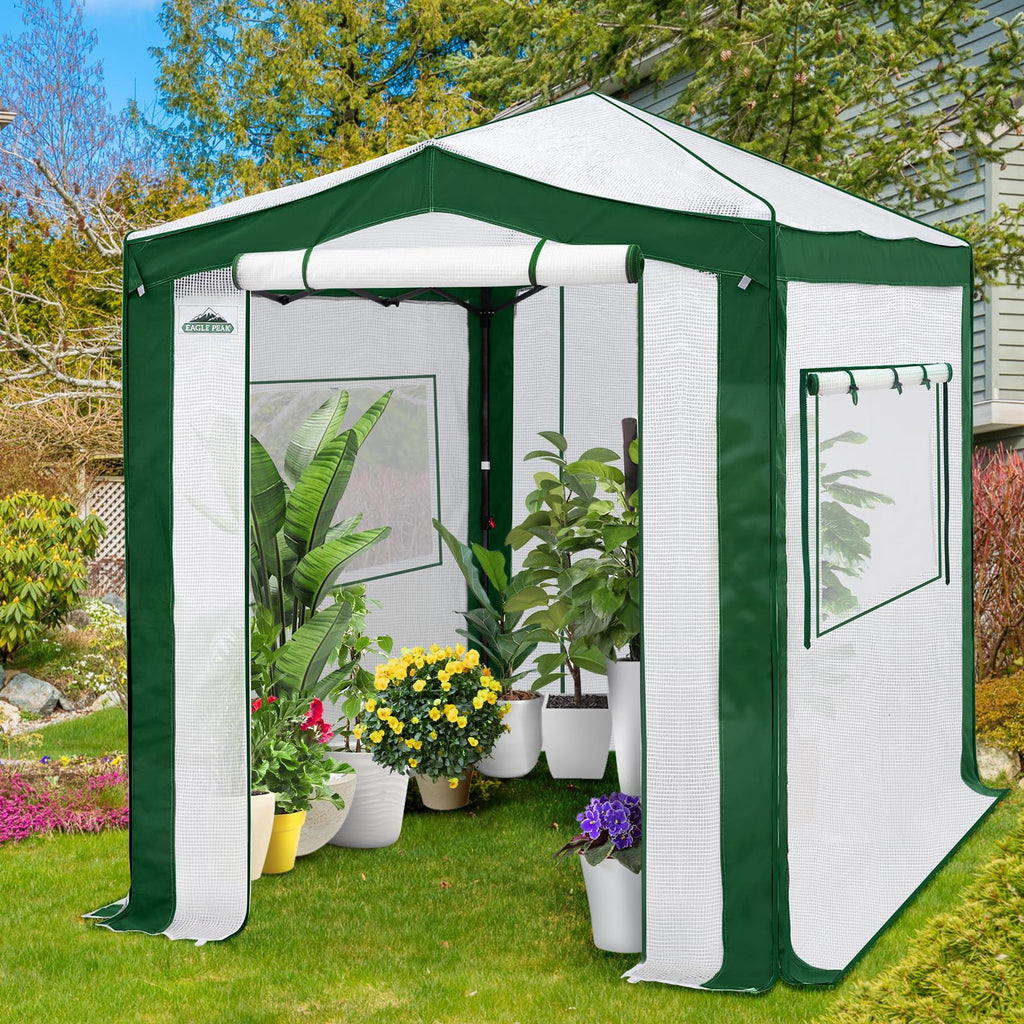 8x6 Walk in Pop Up Greenhouse, Green/White