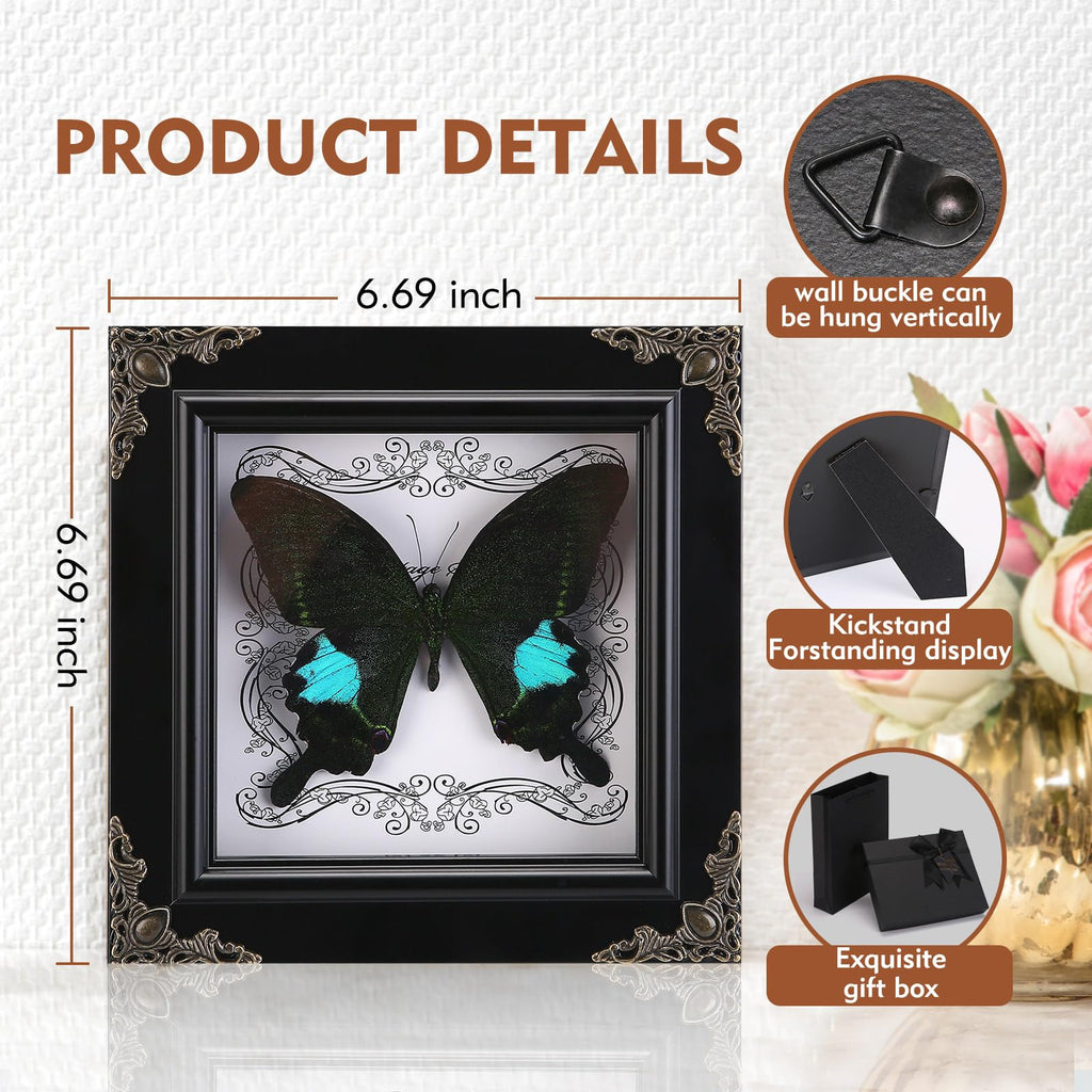 Real Framed Butterfly Specimen, Handmade Butterfly Taxidermy Shadow Box, Goth Gifts for Women, Dark Academia & Witchy