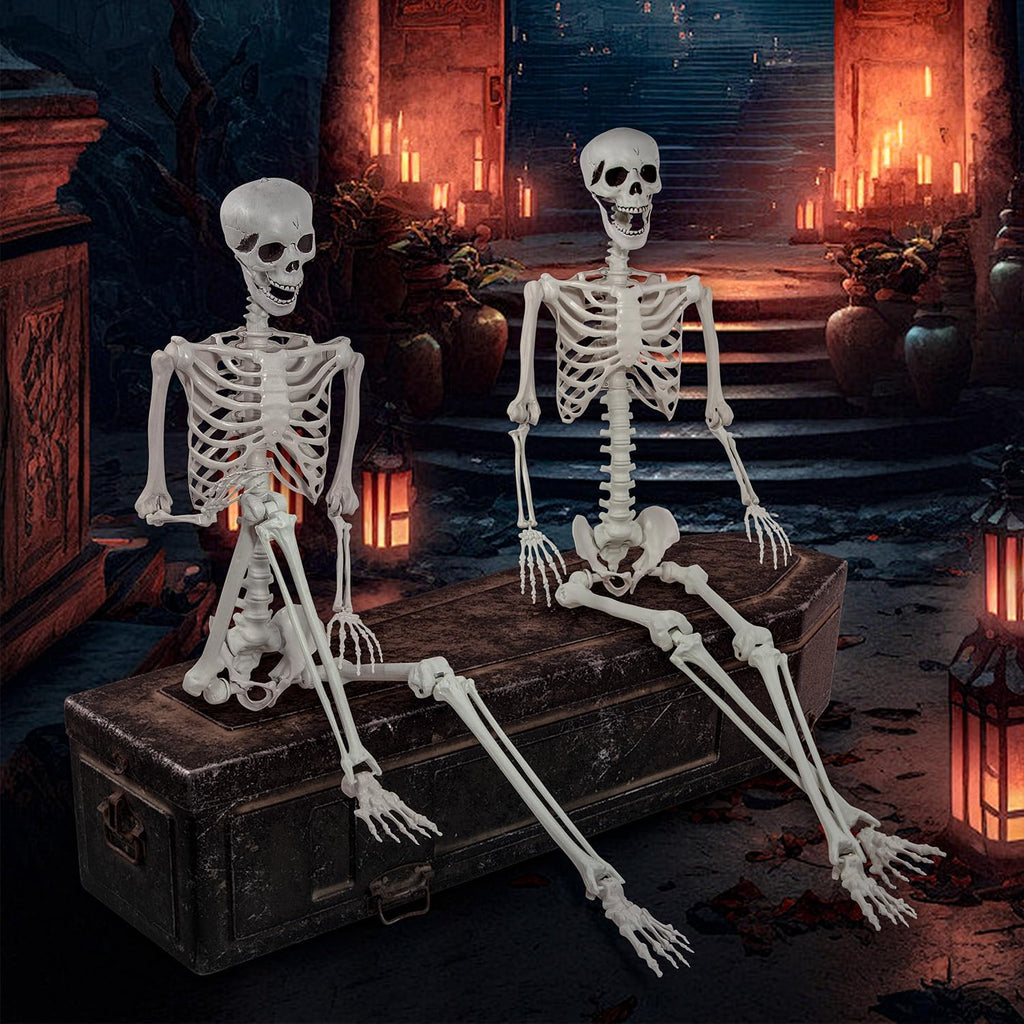 5.9ft Halloween Life Size Skeleton Realistic Full Body Skeletons Plastic Human Bones with Movable Joints