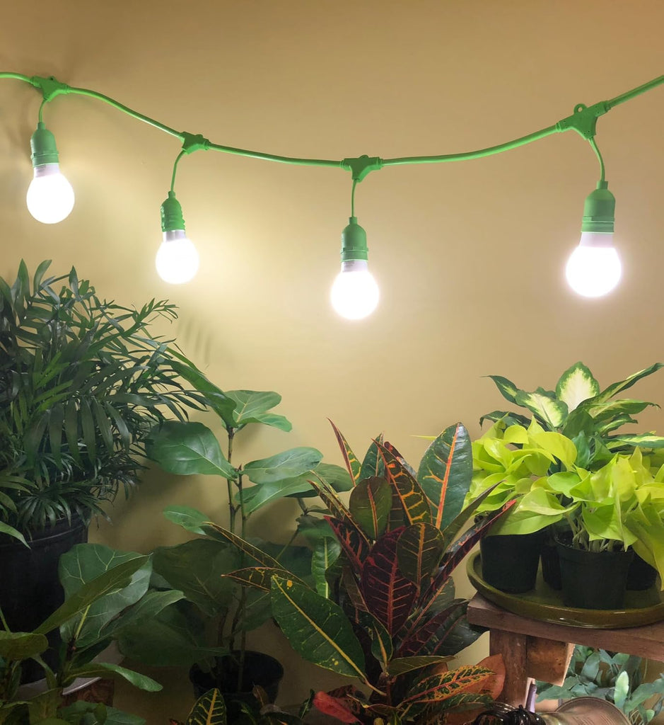S Full Spectrum Absolute Daylight Plus Grow Light Bulbs (4-Pack)