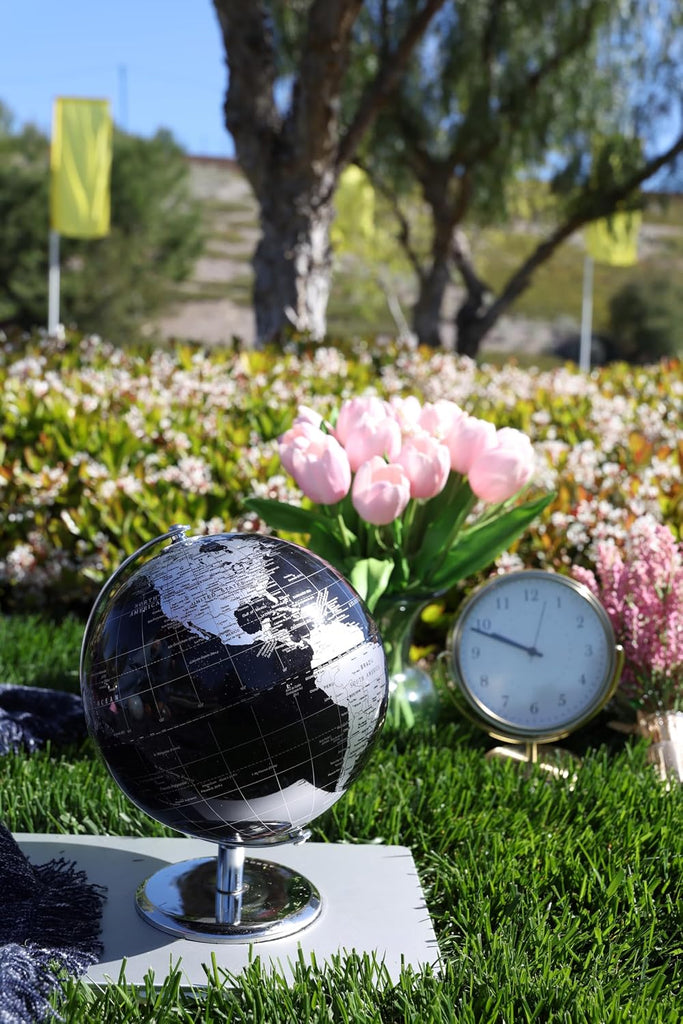 Metallic World Globe Black - Educational/Geographic/Modern Desktop Decoration - Stainless Steel Arc and Base/Earth