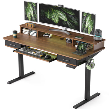 55 Inches Electric Standing Desk with Keyboard Tray, Height Adjustable Sit to Stand Table with 2 Drawers, Ergonomic