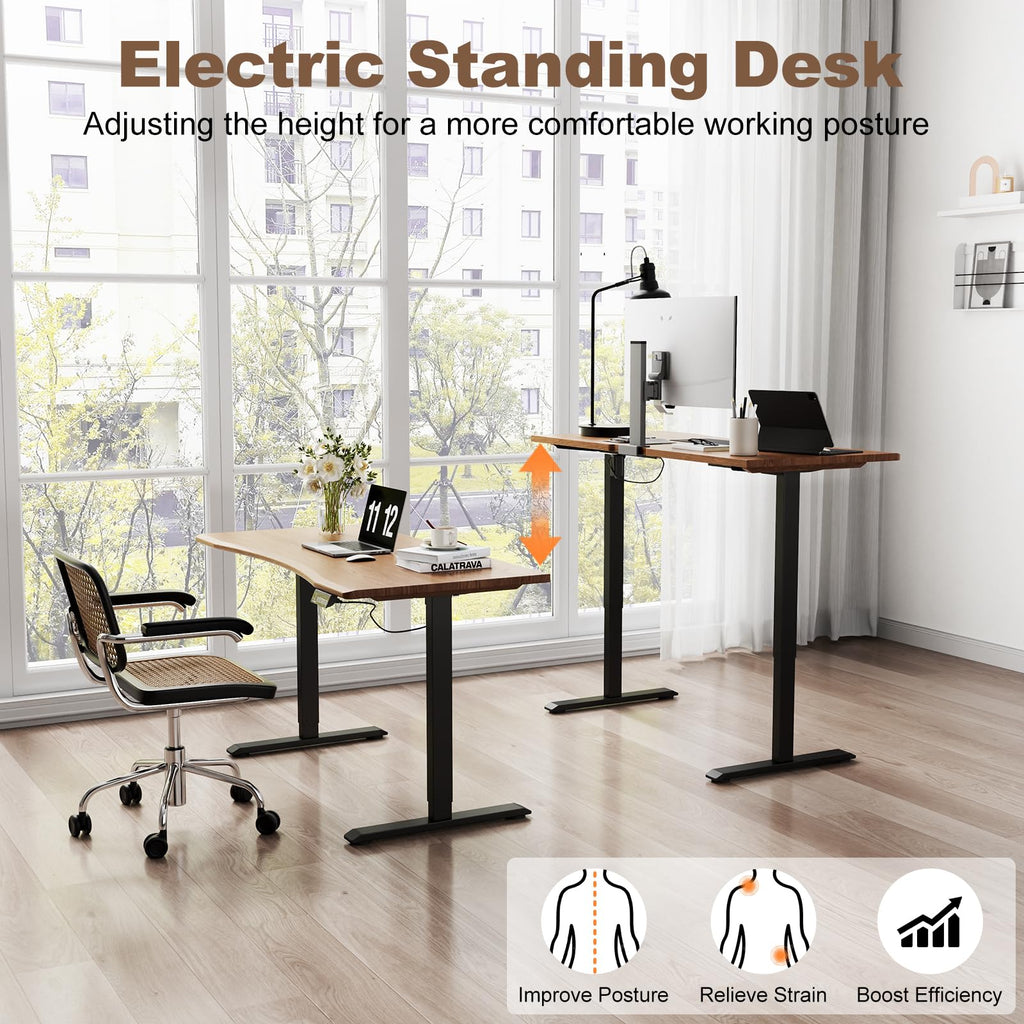 Solid Wood Electric Standing Desk, 47.2"x23.6" Walnut Standing Desk