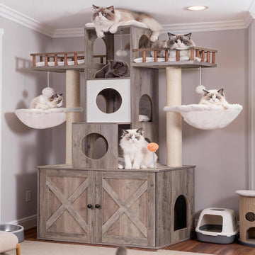 Cat Tree with Litter Box Enclosure for Indoor Big Cat