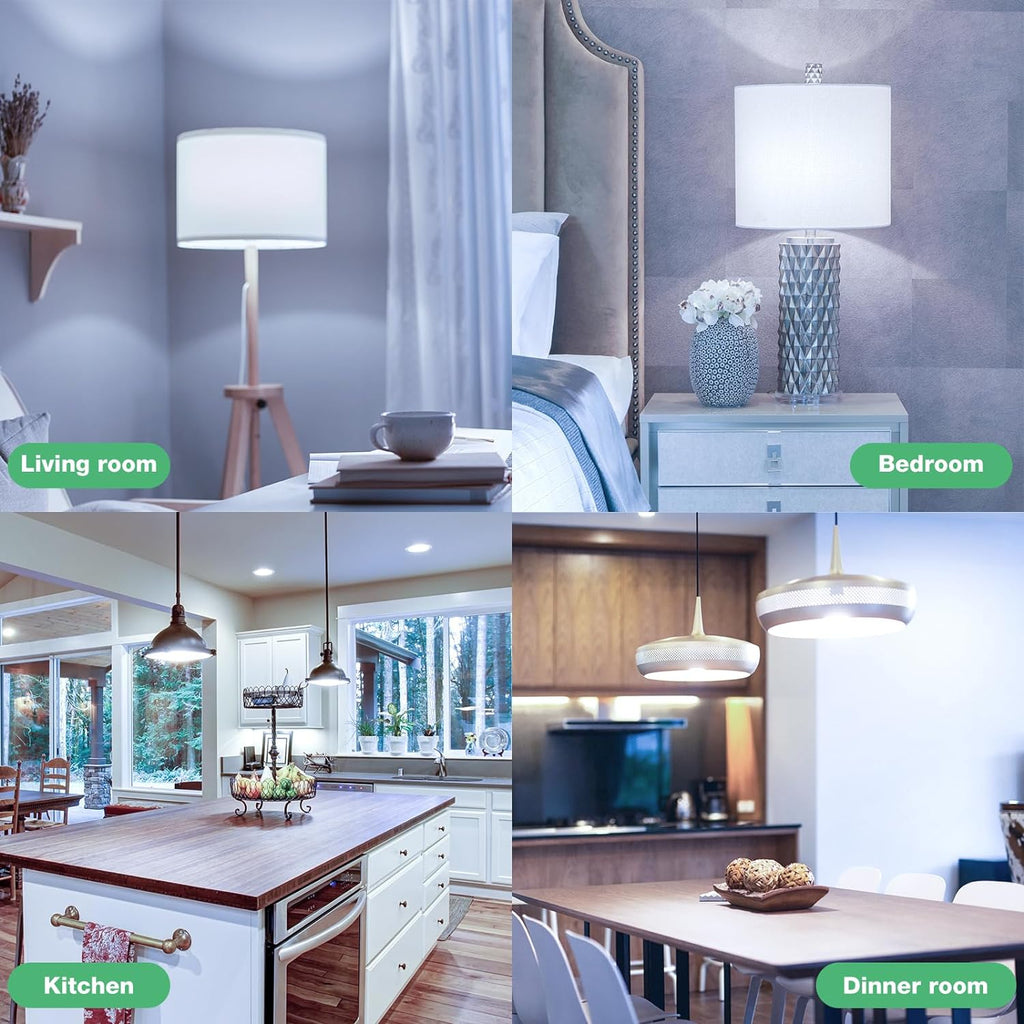 LED Light Bulbs, 100 Watt Equivalent LED Bulbs A19, 5000K Daylight Light Bulb, 1500 Lumens, E26 Standard Base, Non