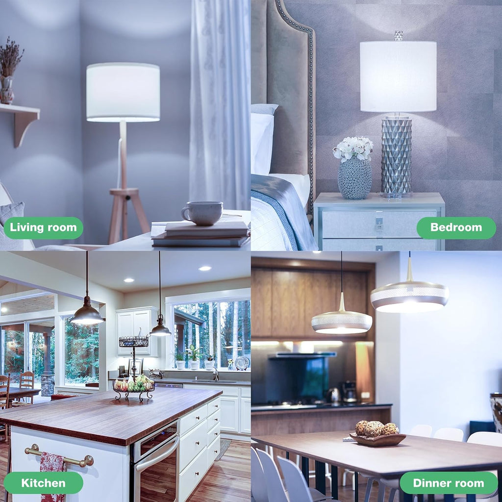 LED Light Bulbs Daylight 5000K, 100 Watt Equivalent LED Bulbs, A19 Standard Bulbs, 1500 LM, 15000 Hours, E26 Base