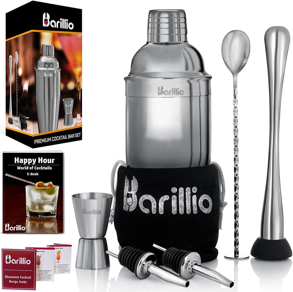 Mixology Bartender Kit - 8 pcs Stainless Steel Travel Cocktail Shaker Set with Bag - Bar Tools Set with Martini