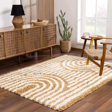 Stratosphere Area Rug - Abstract Striped Circles Swirl Ombre - Bohemian Transitional Modern Contemporary Boho - Plush