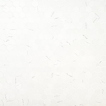 Miraggio Gray 12 in. x 12 in. Matte Porcelain Hexagon Tile Flooring