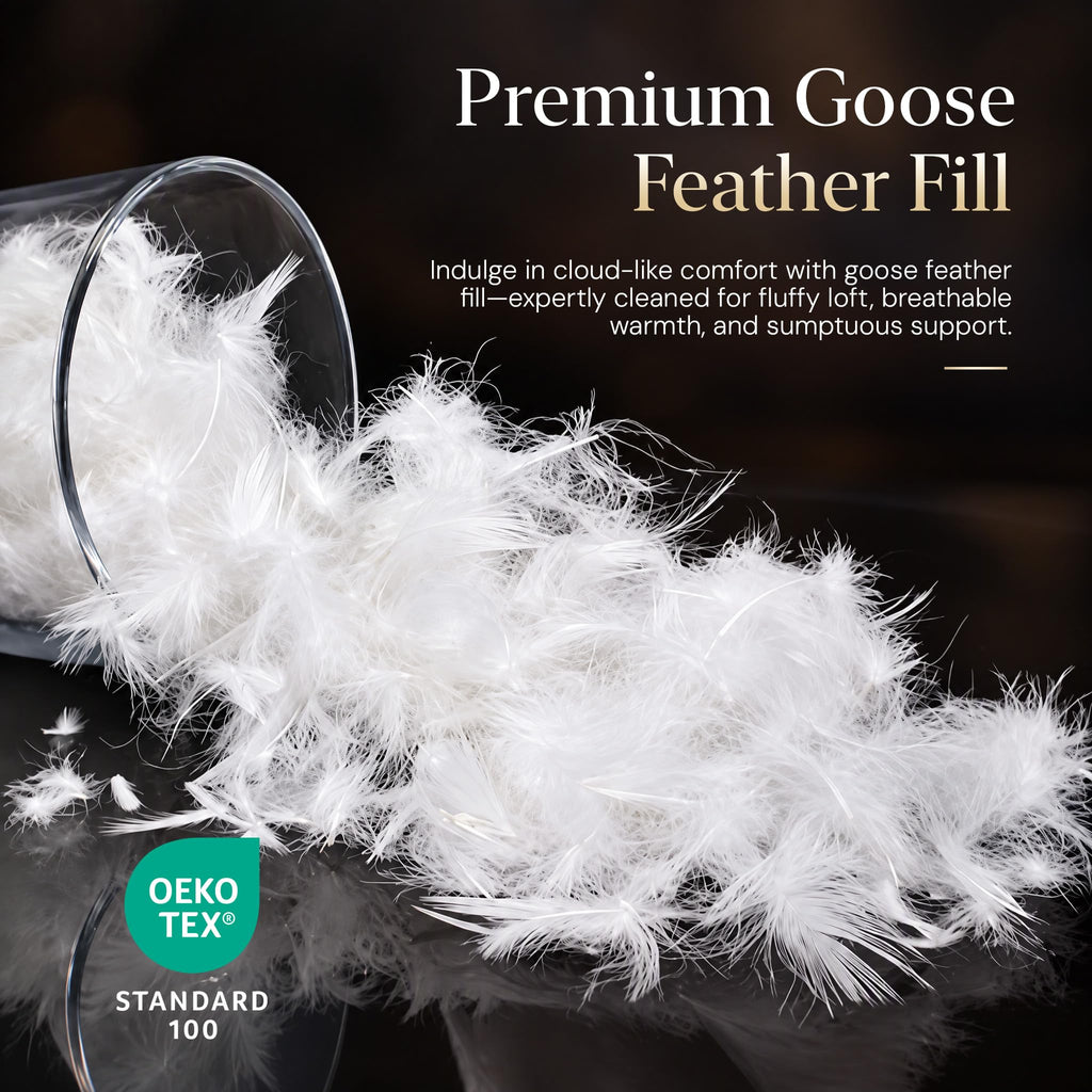 Goose Feather Comforter, Duvet Insert, Ultra-Soft 100% Cotton Shell with Paisley Print (All Season, Black, Twin)