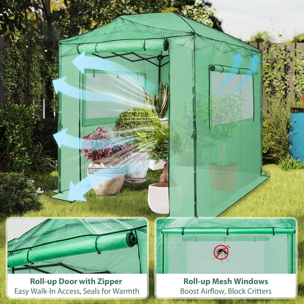 8x6 Easy Setup Pop Up Greenhouse, Clear/Green | Walk-In Greenhouses for Outdoors, Green House for Winter Protection