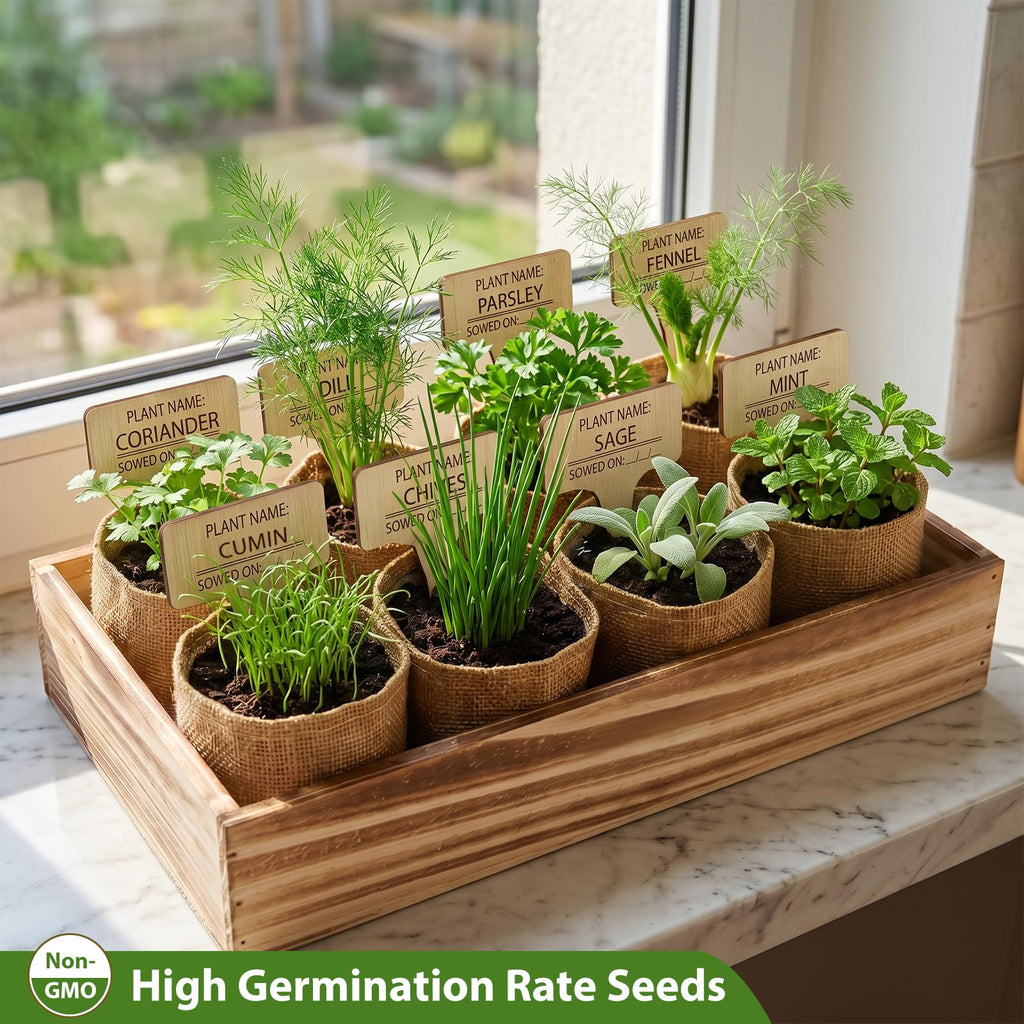 Indoor Herb Garden Kit, Complete Herb Starter Growing Kit with Seeds & Tools, Unique Christmas Birthday Gifts for
