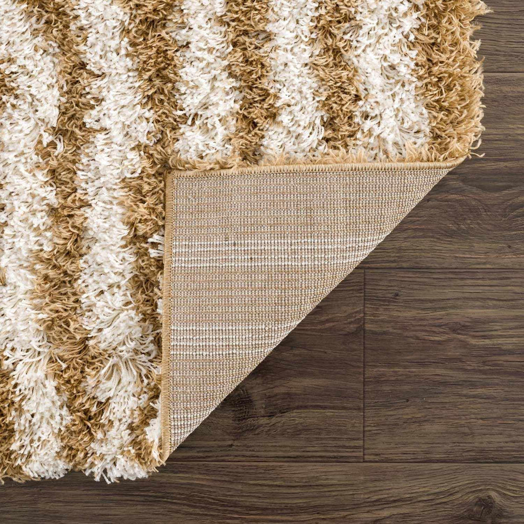 Stratosphere Area Rug - Abstract Striped Circles Swirl Ombre - Bohemian Transitional Modern Contemporary Boho - Plush