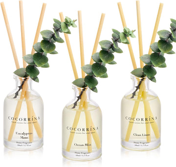 Reed Diffuser with Dried Eucalyptus - Set of 3