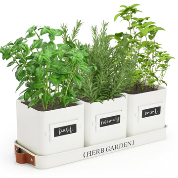 Indoor Herb Garden, Herb Planter Set with Tray, Farmhouse Indoor Plant Pots, Windowsill Herb Garden with