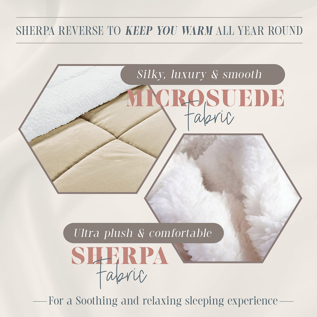 3-Piece Olivia Stripe Sherpa Comforter Set, Super Soft Comforter with Striped Pattern and Sherpa Backing, Textured &