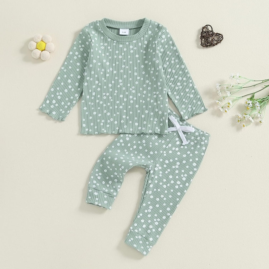 Baby Girl Fall Clothes Set Floral Print Long Sleeve Tops Pants Cute Infant Toddler Outfits 6 12 18