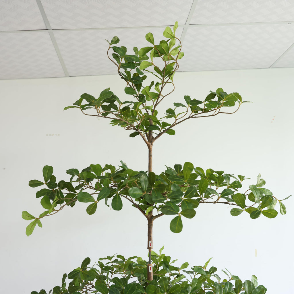 Artificial Black Olive Tree, 7FT Tall Big Faux Shady Lady Tree with Potted, Fake Olive Tree Decor Indoor