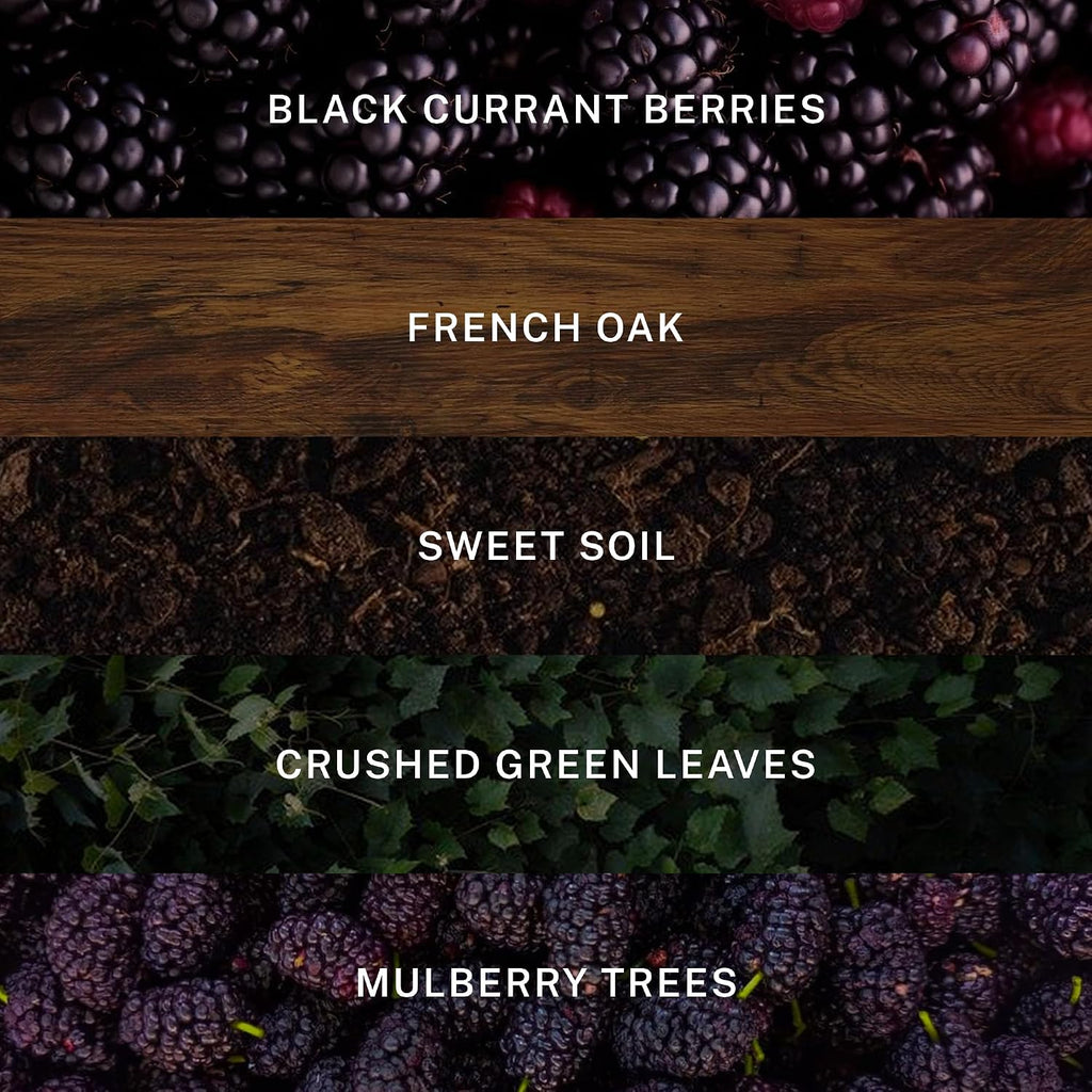 Hotel Lobby Napa Valley Candle - Luxury Hand-Poured 9.75oz 100% Soy h Black Currant, French Oak, Sweet Soil