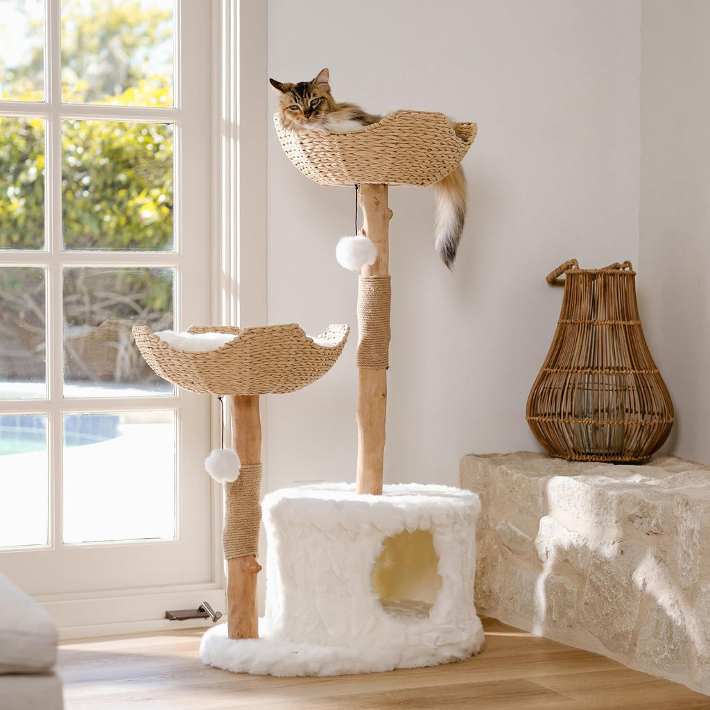 Modern Cat Tree Tower, Real Branch Wood Condo for Large Cats