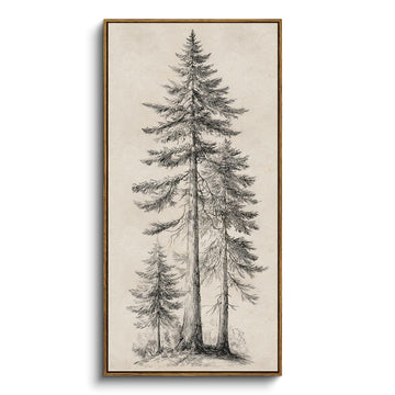 Extra Large Framed Vertical Wall Art, Sketch Tree Decor, 20x40inch