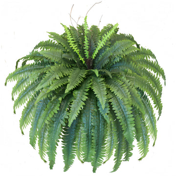 Artificial Ferns for Outdoors, 51in Fake Ferns Large Plants w/66 Fronds