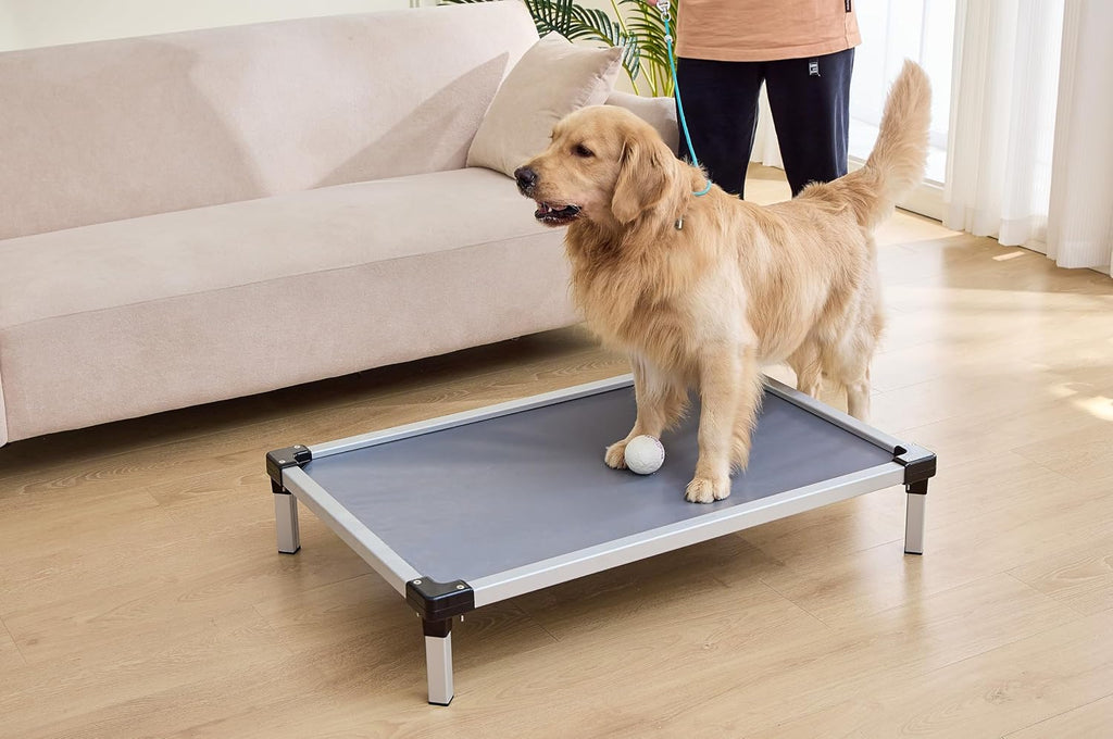 Elevated Dog Bed 42x28 Inch, Chew Resistant Raised Dog Cot, Waterproof Cooling Pet Bed for Indoor Outdoor Use