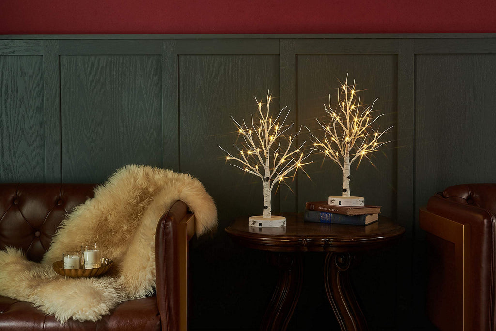 Lighted Birch Tree with Timer Battery Operated or USB Plug-in 18IN 24 LED, Easter Trees with Lights for Wedding Party