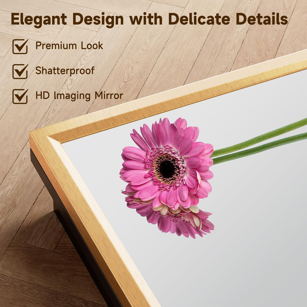 14" x 24" Gold Medicine Cabinets with Mirror, Aluminum Alloy Framed Mirror, Recessed or Surface Wall-Mounted Metal