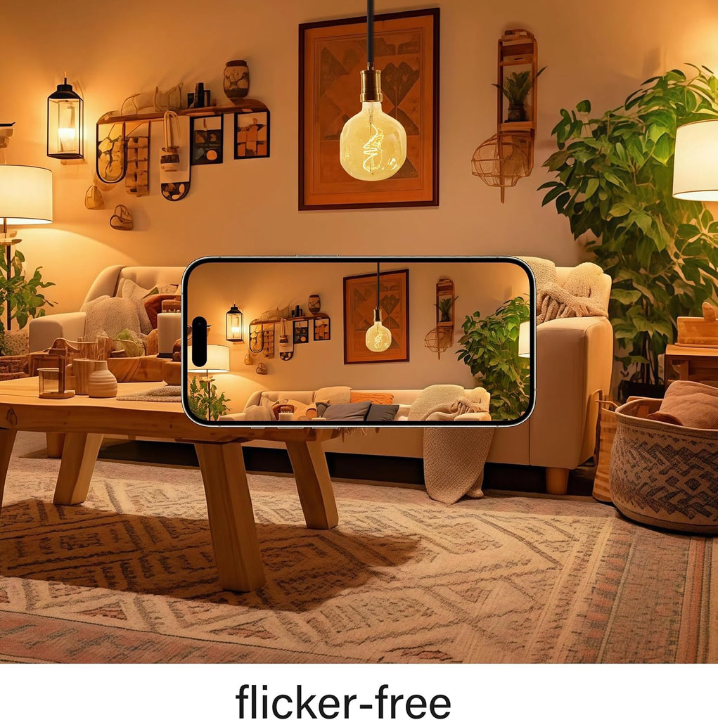 Oversized Decorative LED Light Bulb 6W 600LM E26 Dimmable 2200K, 1 Pack