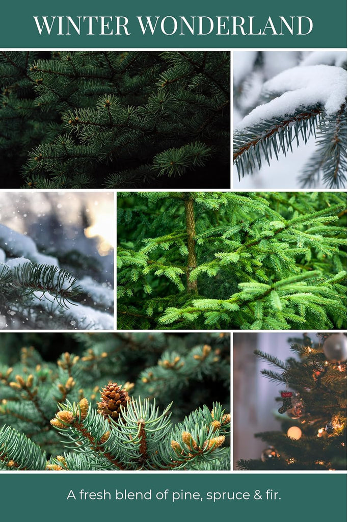 Room & Linen Spray, Winter Wonderland, 8 oz. - Scents Of Pine, Spruce, & Fir - Recycled Aluminum Bottle, No