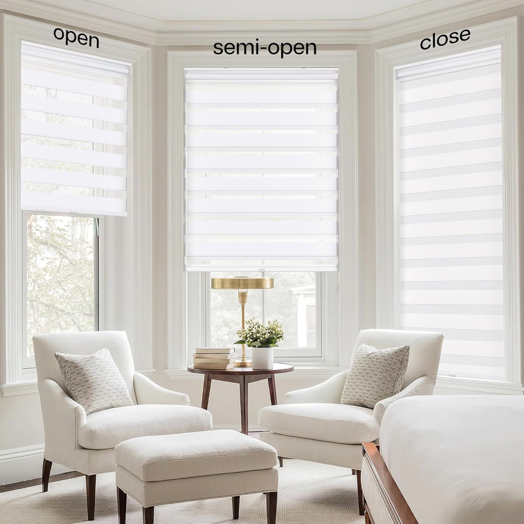 No Tools No Drill Cordless Zebra Blinds 25x48, White | Dual Layer Light Control for Day and Night, Light Filtering