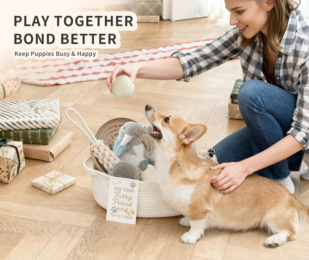 Dog Gift Basket - Puppy Starter Kit, Welcome New Puppy Gift Basket with Interactive Toys Bundle, Perfect Dog Birthday