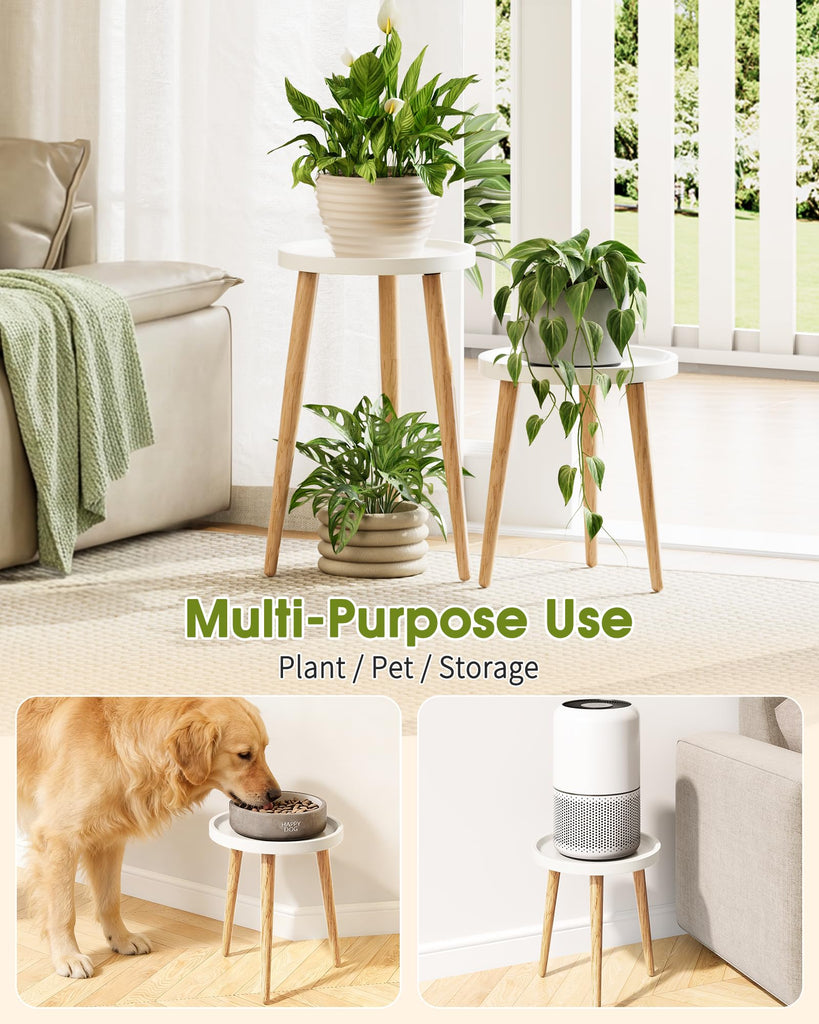 Plant Stand Indoor 2 Pack, Mid Century Wood Indoor Plant Stands, Tall Plant Holder for Flower Pot, Modern Plant Table