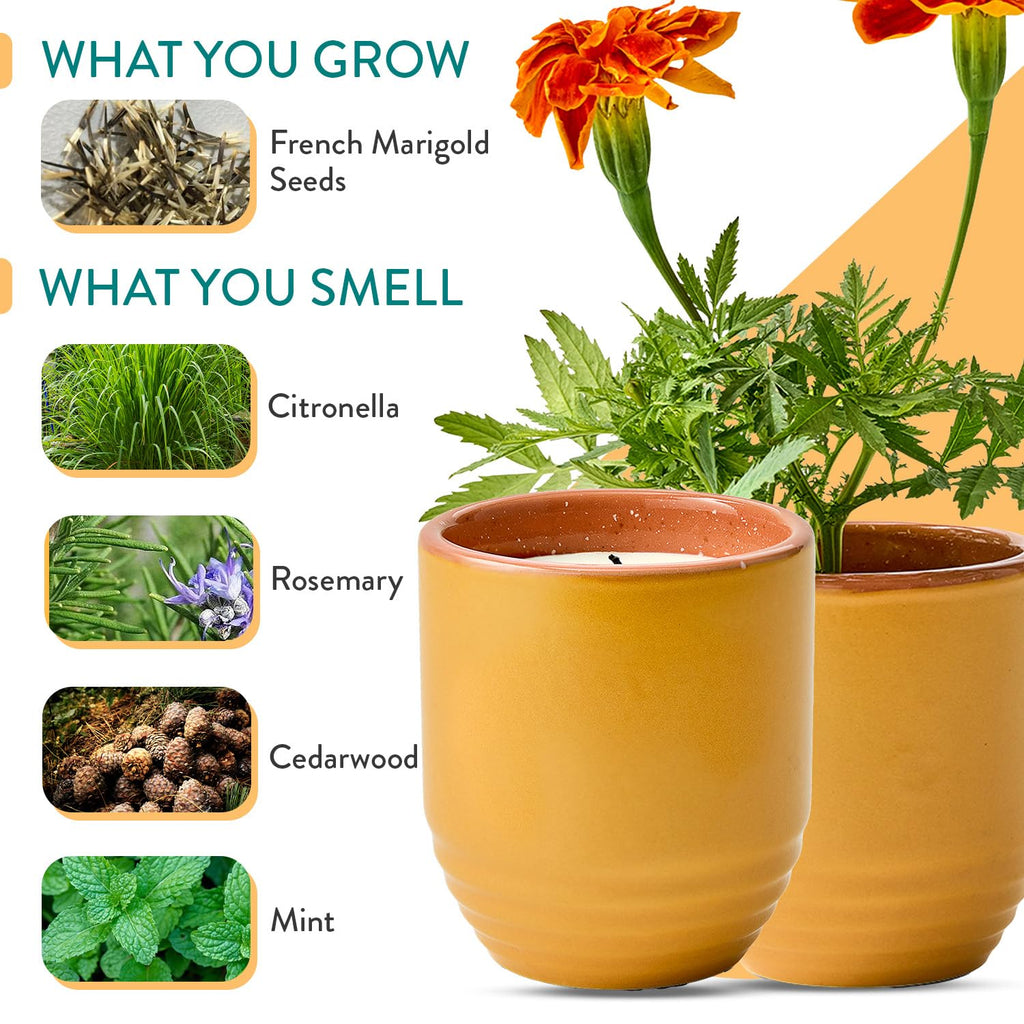 Garden Vibes - 6oz Soy Wax Candle and Planter - Last Light