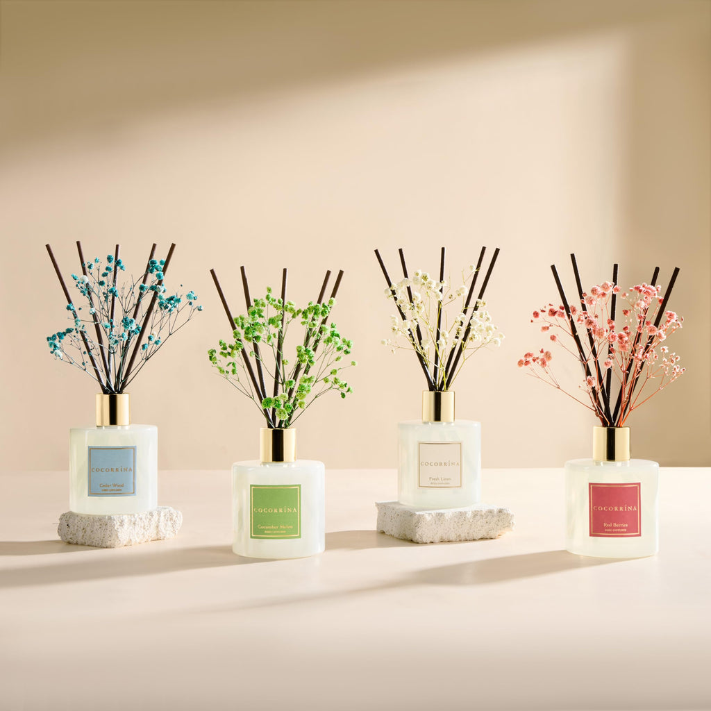 Reed Diffuser - Coconut Beach 6.7 fl oz Reed Diffuser with Sticks, Home Bedrrom Bathroom Shelf Decor